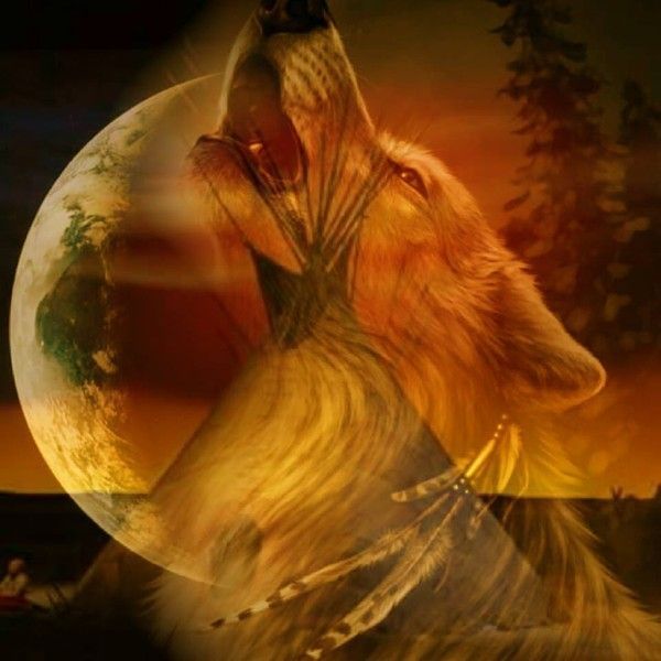 LOUP