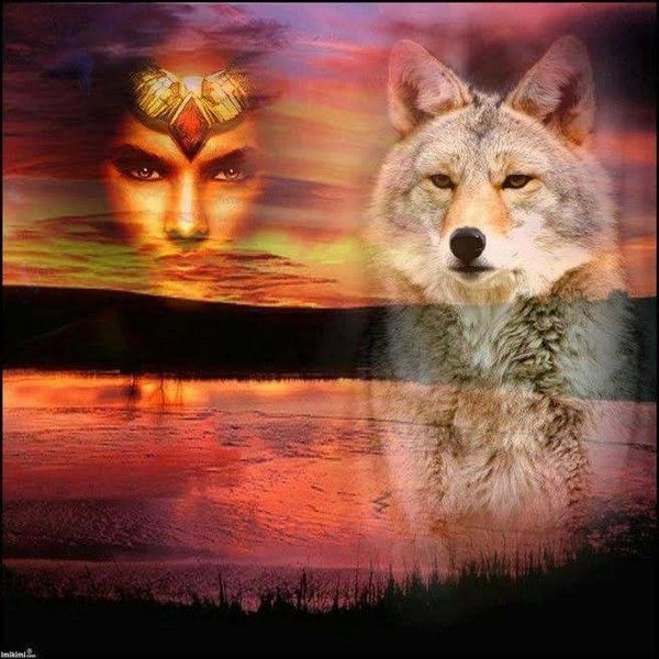 LOUP